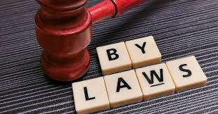 by laws
